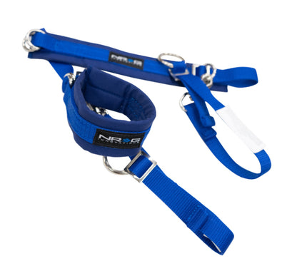 NRG SFI 3.3 Arm Restraints One Pair - Blue