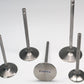 Ferrea Chevy/Chry/Ford BB 2.425in 11/32in 6.605in 0.29in 12 Deg Titanium Comp Intake Valve- Set of 8