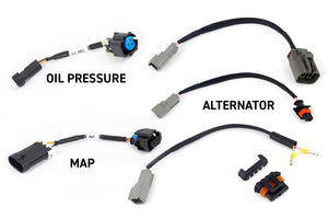 Haltech NEXUS Rebel LS Gen IV 6-Pin DBW Throttle/EV6 Injectors/Manual Transmission