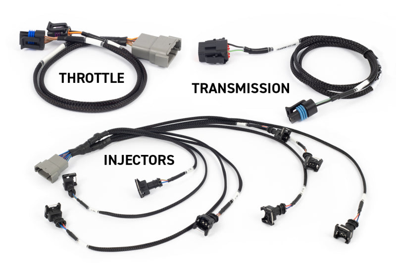 Haltech NEXUS Rebel LS Gen III Cable Throttle/EV1 Injectors/Manual Transmission