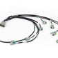 Haltech NEXUS Rebel LS EV6 Injector Sub-Harness