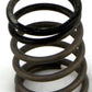 Turbosmart Gen-V WG38/40 3psi Black Inner Spring