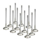 Supertech BMW N54 Turbo Sodium Filled Exhaust Valves - Set of 12