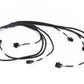 Haltech NEXUS Rebel LS Multec 2 Injector Sub-Harness